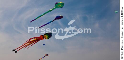 International Meetings of kites in Berck sur Mer [AT] - © Philip Plisson / Plisson La Trinité / AA28657 - Photo Galleries - Town [62]