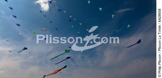 International Meetings of kites in Berck sur Mer [AT] - © Philip Plisson / Plisson La Trinité / AA28658 - Photo Galleries - Kite