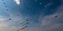 International Meetings of kites in Berck sur Mer [AT] © Philip Plisson / Plisson La Trinité / AA28658 - Photo Galleries - Nord-Pas-de-Calais