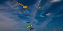 Rencontres Internationales de cerfs-volants à Berck sur Mer © Philip Plisson / Plisson La Trinité / AA28660 - Nos reportages photos - Rencontres Internationales de cerfs-volants à Berck sur Mer