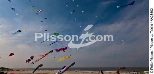 International Meetings of kites in Berck sur Mer [AT] - © Philip Plisson / Plisson La Trinité / AA28662 - Photo Galleries - Town [62]