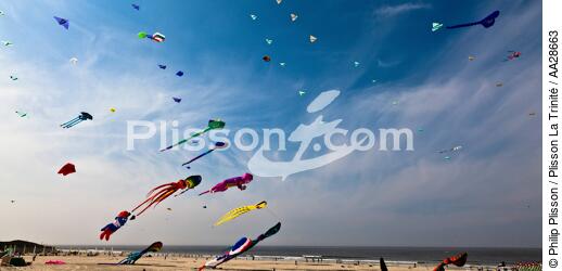 International Meetings of kites in Berck sur Mer [AT] - © Philip Plisson / Plisson La Trinité / AA28663 - Photo Galleries - Berck