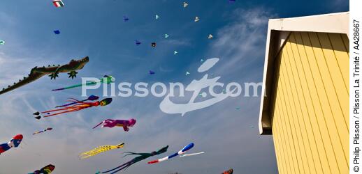 International Meetings of kites in Berck sur Mer [AT] - © Philip Plisson / Plisson La Trinité / AA28667 - Photo Galleries - Pas de Calais