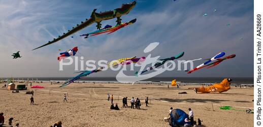 International Meetings of kites in Berck sur Mer [AT] - © Philip Plisson / Plisson La Trinité / AA28669 - Photo Galleries - Berck