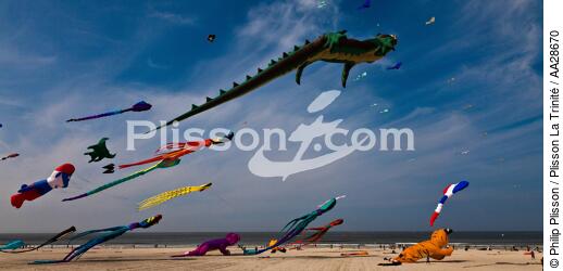 International Meetings of kites in Berck sur Mer [AT] - © Philip Plisson / Plisson La Trinité / AA28670 - Photo Galleries - Town [62]