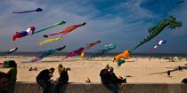 International Meetings of kites in Berck sur Mer [AT] © Philip Plisson / Plisson La Trinité / AA28671 - Photo Galleries - Kite