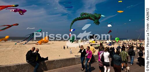 International Meetings of kites in Berck sur Mer [AT] - © Philip Plisson / Plisson La Trinité / AA28672 - Photo Galleries - Pas de Calais
