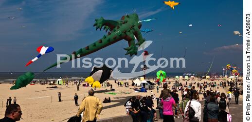 International Meetings of kites in Berck sur Mer [AT] - © Philip Plisson / Plisson La Trinité / AA28673 - Photo Galleries - Pas de Calais