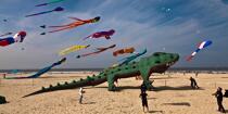 International Meetings of kites in Berck sur Mer [AT] © Philip Plisson / Plisson La Trinité / AA28674 - Photo Galleries - International Meeting of Kite in Berck-sur-Mer.