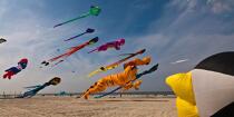 International Meetings of kites in Berck sur Mer [AT] © Philip Plisson / Plisson La Trinité / AA28675 - Photo Galleries - International Meeting of Kite in Berck-sur-Mer.
