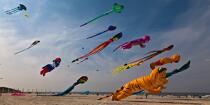 International Meetings of kites in Berck sur Mer [AT] © Philip Plisson / Plisson La Trinité / AA28676 - Photo Galleries - Nord-Pas-de-Calais