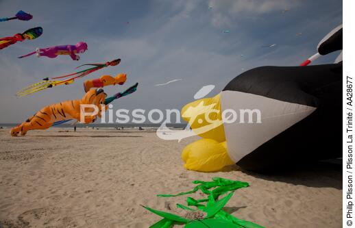 International Meetings of kites in Berck sur Mer [AT] - © Philip Plisson / Plisson La Trinité / AA28677 - Photo Galleries - Pas de Calais