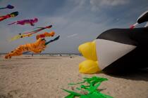 International Meetings of kites in Berck sur Mer [AT] © Philip Plisson / Plisson La Trinité / AA28677 - Photo Galleries - Berck