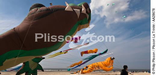 International Meetings of kites in Berck sur Mer [AT] - © Philip Plisson / Plisson La Trinité / AA28678 - Photo Galleries - Berck