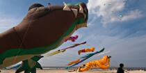 International Meetings of kites in Berck sur Mer [AT] © Philip Plisson / Plisson La Trinité / AA28678 - Photo Galleries - Nord-Pas-de-Calais