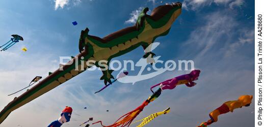International Meetings of kites in Berck sur Mer [AT] - © Philip Plisson / Plisson La Trinité / AA28680 - Photo Galleries - Town [62]