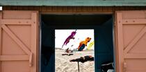 Rencontres Internationales de cerfs-volants à Berck sur Mer © Philip Plisson / Plisson La Trinité / AA28682 - Nos reportages photos - Rencontres Internationales de cerfs-volants à Berck sur Mer