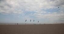 International Meetings of kites in Berck sur Mer [AT] © Philip Plisson / Plisson La Trinité / AA28684 - Photo Galleries - Nord-Pas-de-Calais