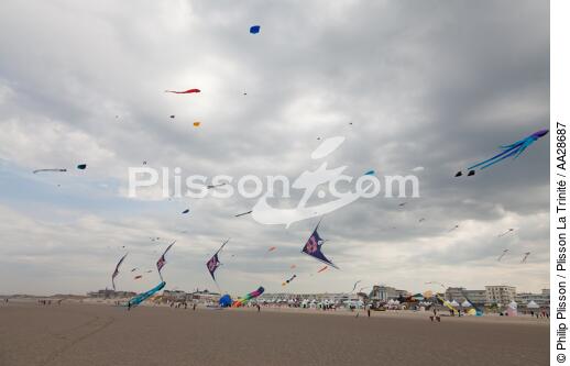International Meetings of kites in Berck sur Mer [AT] - © Philip Plisson / Plisson La Trinité / AA28687 - Photo Galleries - Pas de Calais