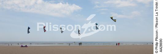 International Meetings of kites in Berck sur Mer [AT] - © Philip Plisson / Plisson La Trinité / AA28690 - Photo Galleries - Berck