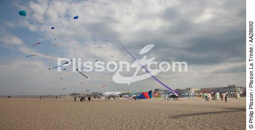 International Meetings of kites in Berck sur Mer [AT] - © Philip Plisson / Plisson La Trinité / AA28692 - Photo Galleries - Non-nautical sports