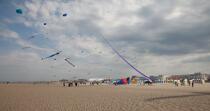 International Meetings of kites in Berck sur Mer [AT] © Philip Plisson / Plisson La Trinité / AA28692 - Photo Galleries - Nord-Pas-de-Calais