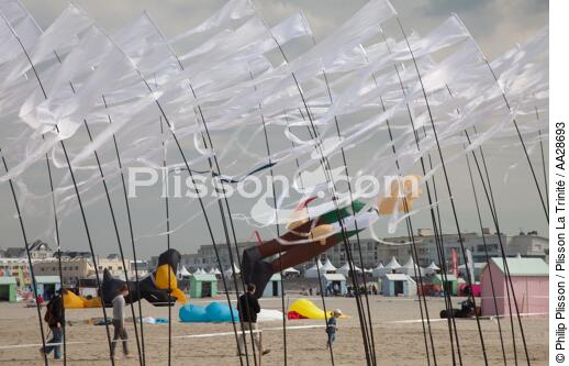 International Meetings of kites in Berck sur Mer [AT] - © Philip Plisson / Plisson La Trinité / AA28693 - Photo Galleries - International Meeting of Kite in Berck-sur-Mer.
