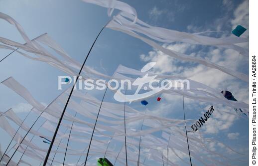 Rencontres Internationales de cerfs-volants à Berck sur Mer - © Philip Plisson / Plisson La Trinité / AA28694 - Nos reportages photos - Ville [62]