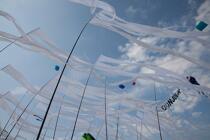 International Meetings of kites in Berck sur Mer [AT] © Philip Plisson / Plisson La Trinité / AA28694 - Photo Galleries - Nord-Pas-de-Calais