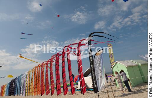 International Meetings of kites in Berck sur Mer [AT] - © Philip Plisson / Plisson La Trinité / AA28700 - Photo Galleries - Berck