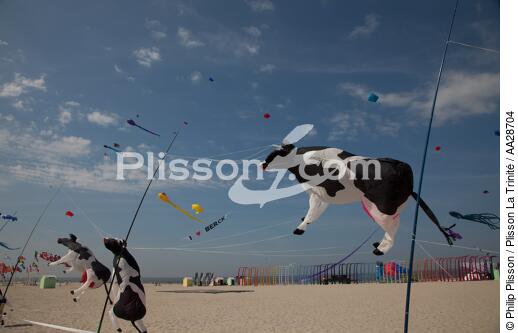 International Meetings of kites in Berck sur Mer [AT] - © Philip Plisson / Plisson La Trinité / AA28704 - Photo Galleries - International Meeting of Kite in Berck-sur-Mer.