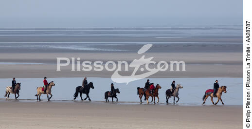 On the beach in Touquet - © Philip Plisson / Plisson La Trinité / AA28787 - Photo Galleries - Horse