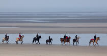 On the beach in Touquet © Philip Plisson / Plisson La Trinité / AA28787 - Photo Galleries - Horse