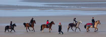 On the beach in Touquet © Philip Plisson / Plisson La Trinité / AA28788 - Photo Galleries - Horse