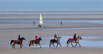 On the beach in Touquet © Philip Plisson / Plisson La Trinité / AA28789 - Photo Galleries - Horse