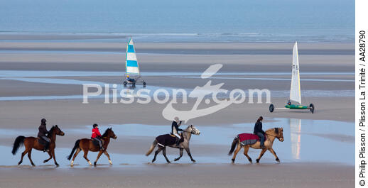 Sur la plage au Touquet - © Philip Plisson / Plisson La Trinité / AA28790 - Nos reportages photos - Sport non nautique