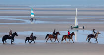 On the beach in Touquet © Philip Plisson / Plisson La Trinité / AA28791 - Photo Galleries - Horse