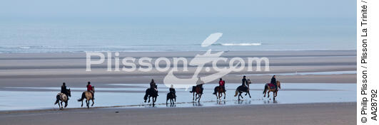 On the beach in Touquet - © Philip Plisson / Plisson La Trinité / AA28792 - Photo Galleries - Horse