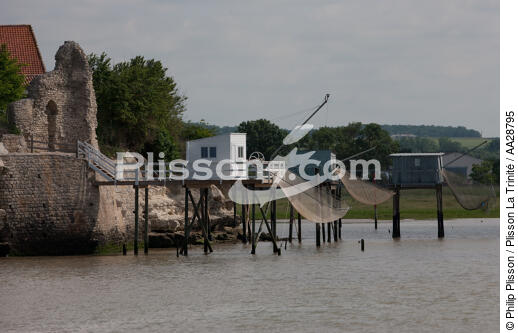 Talmont-sur-Gironde - © Philip Plisson / Plisson La Trinité / AA28795 - Photo Galleries - Square fishing net