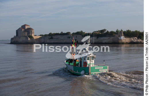 Talmont-sur-Gironde - © Philip Plisson / Plisson La Trinité / AA28801 - Nos reportages photos - Talmont-sur-Gironde