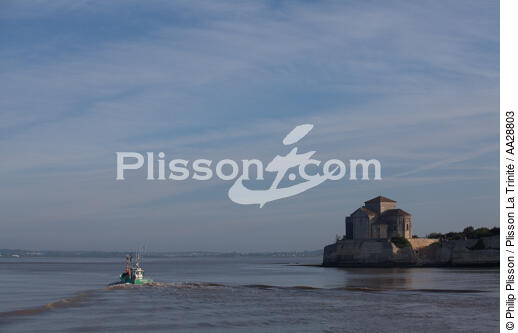 Talmont-sur-Gironde - © Philip Plisson / Plisson La Trinité / AA28803 - Nos reportages photos - Talmont-sur-Gironde