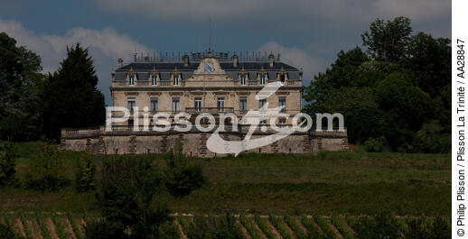 Bayon-sur-Gironde - © Philip Plisson / Plisson La Trinité / AA28847 - Nos reportages photos - Gironde