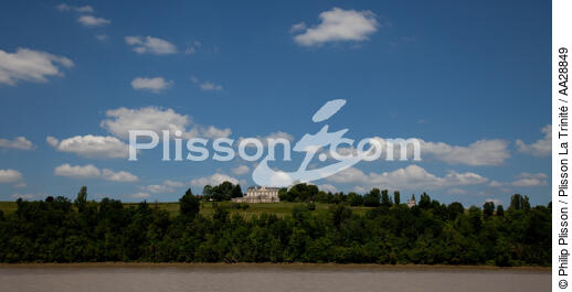 Bayon-sur-Gironde - © Philip Plisson / Plisson La Trinité / AA28849 - Nos reportages photos - Rivière