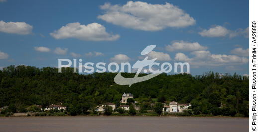 Bayon-sur-Gironde - © Philip Plisson / Plisson La Trinité / AA28850 - Photo Galleries - River