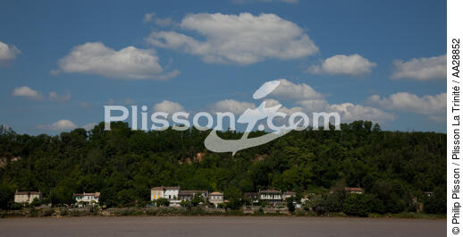 Bayon-sur-Gironde - © Philip Plisson / Plisson La Trinité / AA28852 - Photo Galleries - River