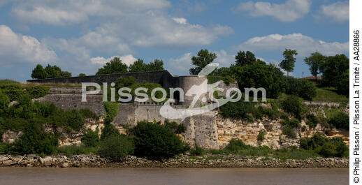 Blaye - © Philip Plisson / Plisson La Trinité / AA28866 - Nos reportages photos - De Royan à Bordeaux