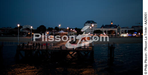Arcachon - © Philip Plisson / Plisson La Trinité / AA29051 - Nos reportages photos - Gironde