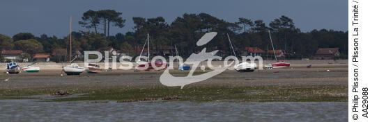 Andernos dans le bassin d'Arcachon - © Philip Plisson / Plisson La Trinité / AA29088 - Nos reportages photos - Gironde