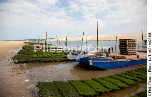 The Arguin sand banc - © Philip Plisson / Plisson La Trinité / AA29105 - Photo Galleries - Lighter used by oyster farmers