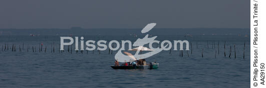 Bassin d'Arcachon - © Philip Plisson / Plisson La Trinité / AA29150 - Nos reportages photos - De Soulac à Capbreton